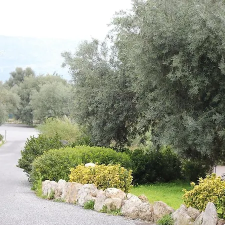 Zaiera Siracusa Συρακούσες