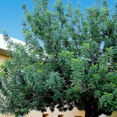 Zaiera Siracusa Hotel